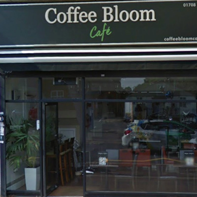 Coffee Bloom